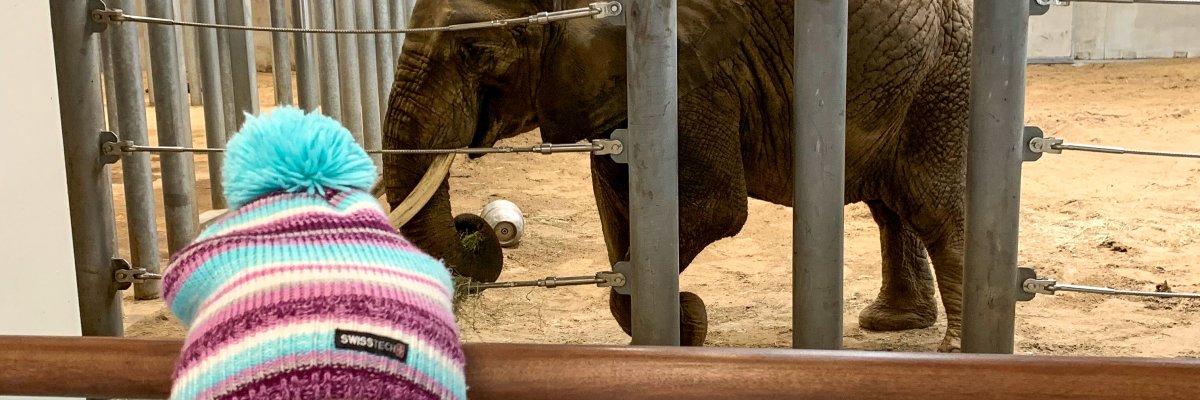 Bea posing next to an elephant